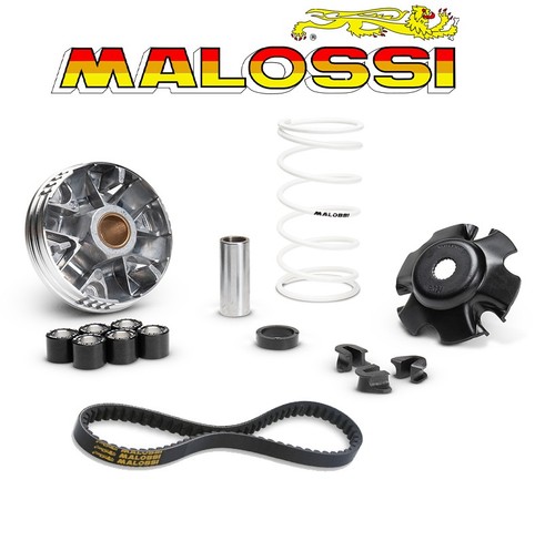 Variatore multivar cinghia - +,