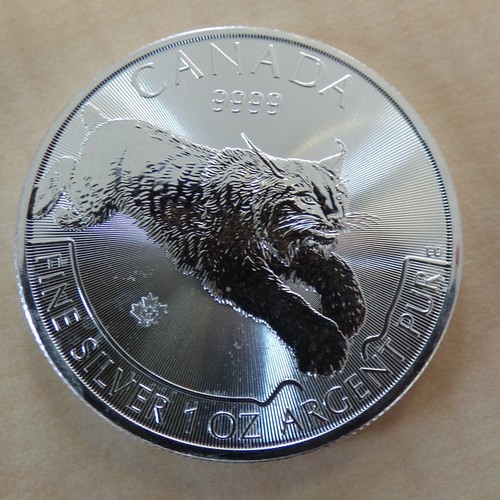 Canada predator lynx 2017 - canada,