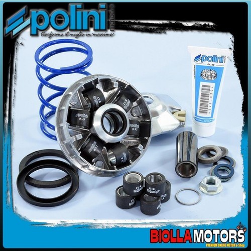 241 749 variatore - variatore, polini